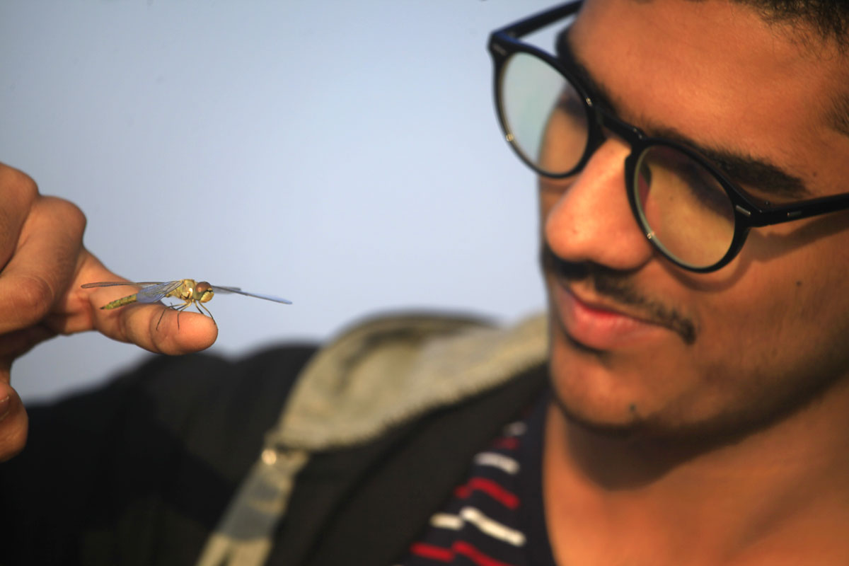 Mann mit Libelle, (c) sbtlneet/Pixabay