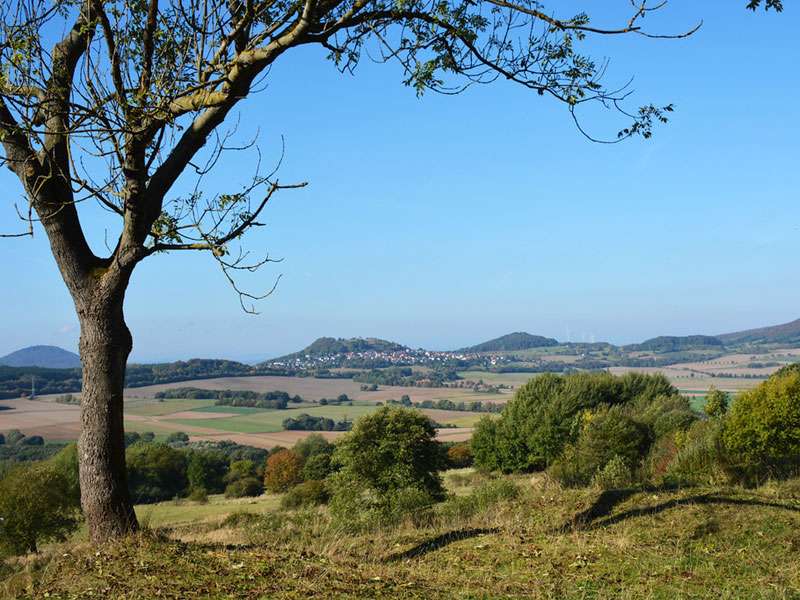 Offene Landschaft der Feldflur, (c) Stella Mielke/NABU-naturgucker.de