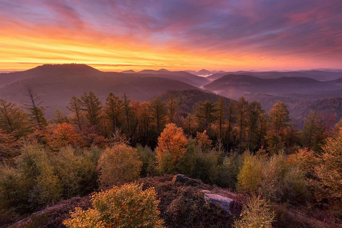 Blick auf den Pfälzerwald am Kirschfelsen, (c) Tobias Höffel/NABU-naturgucker.de