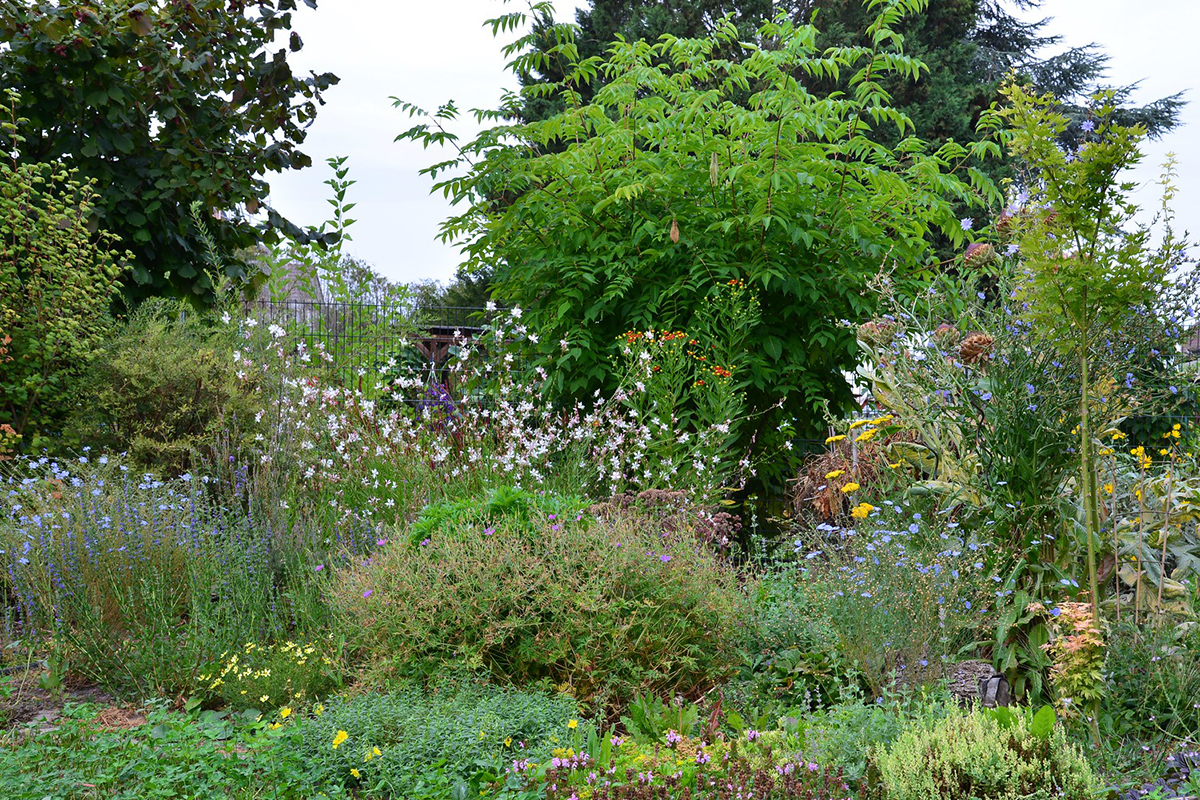 Artenreicher Garten, (c) Christina Schwalbe/NABU-naturgucker.de 