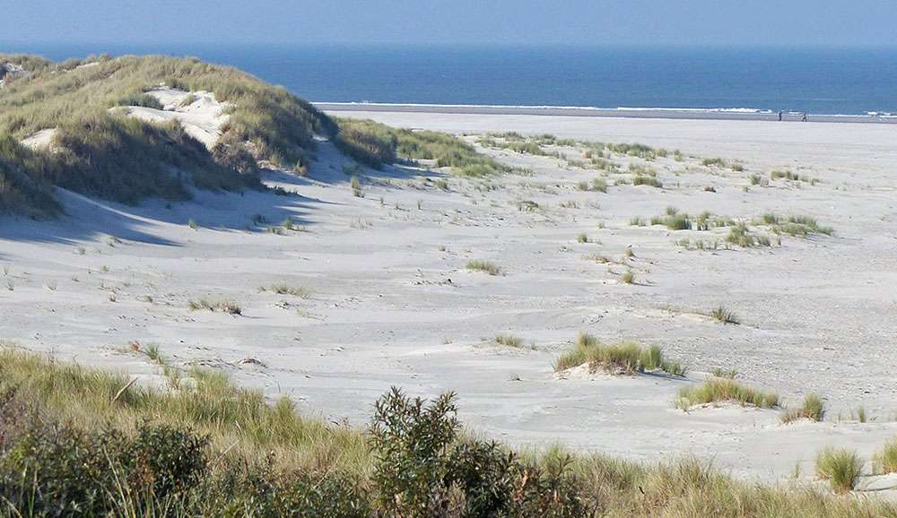 Küste, (c) Karl-Heinz Fuldner/NABU-naturgucker.de