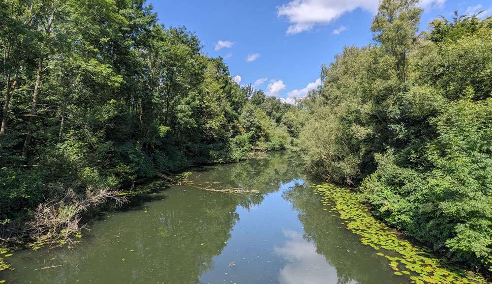 Altarm der Ruhr, (c) Gaby Schulemann-Maier/NABU-naturgucker.de