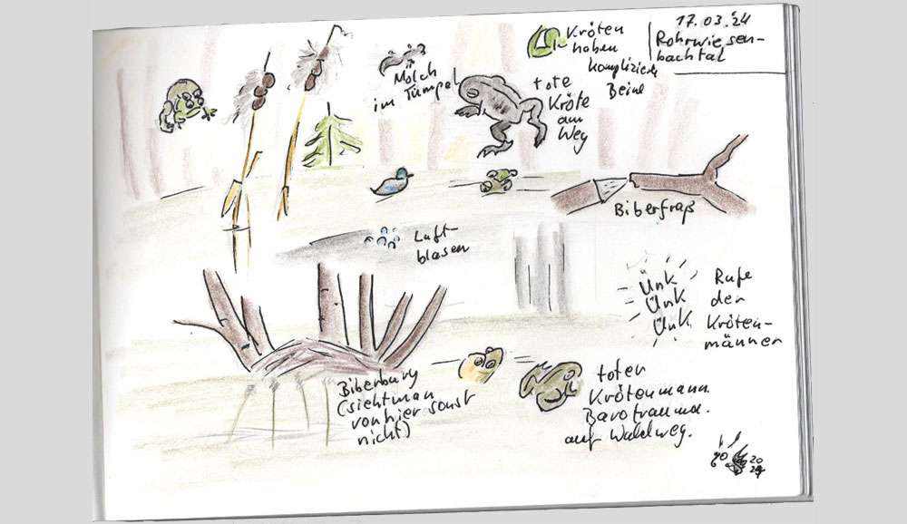 Nature Journaling, (c) Katharina Jacob/NABU-naturgucker.de