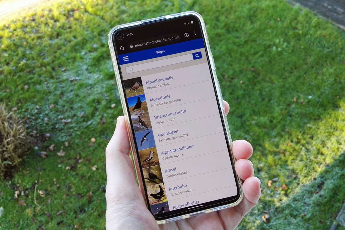 Blick auf die Vogel-Artporträtliste in der Natur-App