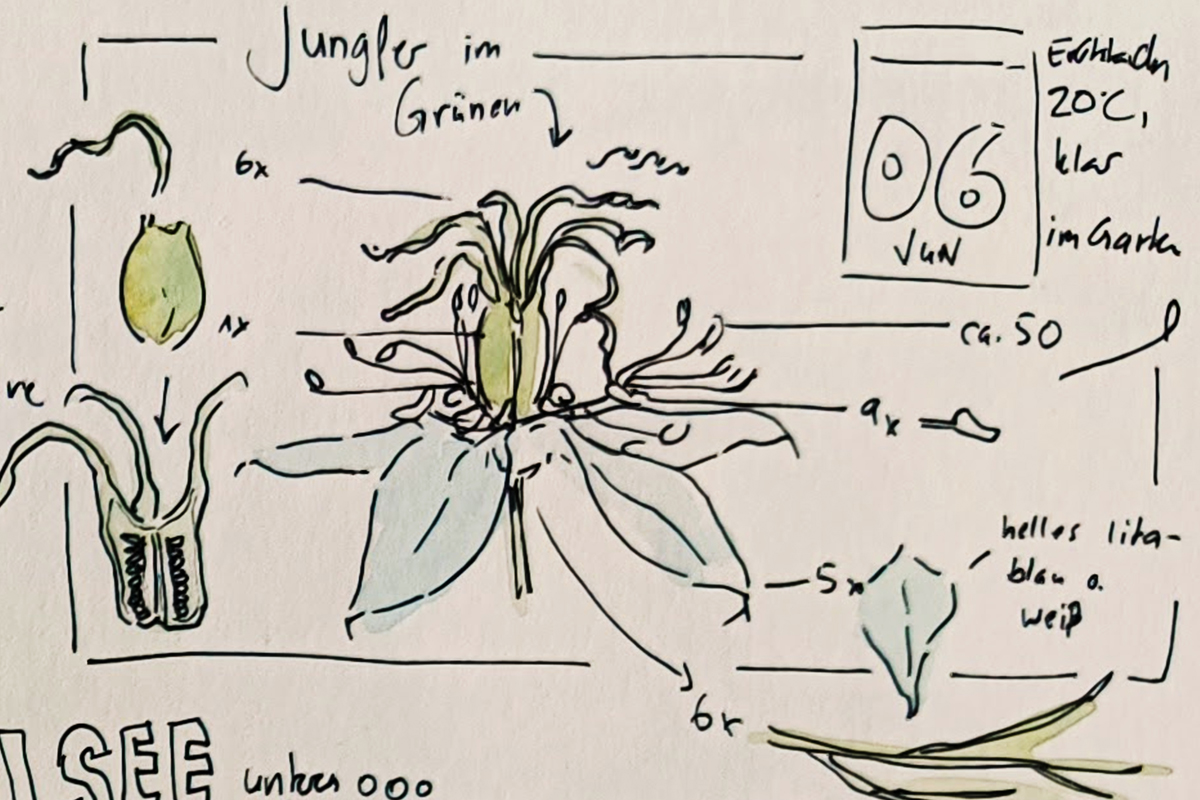 Ein Beispiel für die Verwendung von Zahlen in einem Naturjournal, (c) Lisa Theismann