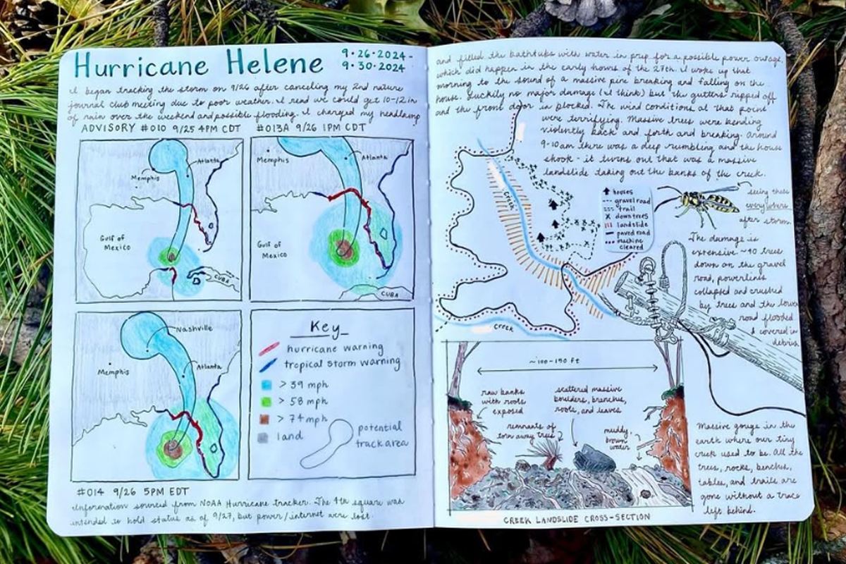 Landkarten, Geländebeschreibungen, Maßstäbe, Windgeschwindigkeiten – wissenschaftliche Darstellungen, Daten und Messwerte können ihren Weg ins Nature Journal finden, (c) Lena Haley