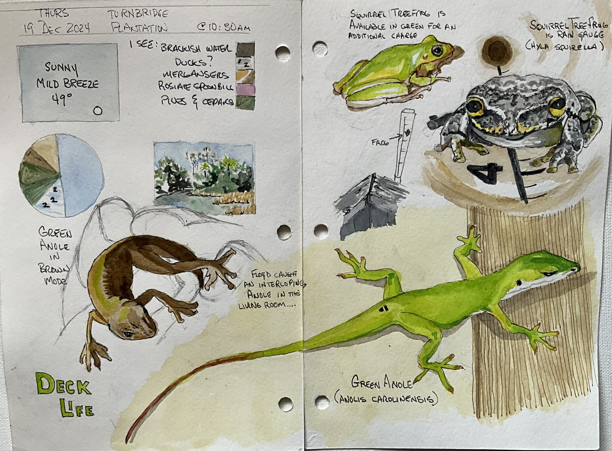 Den Geheimnissen der Amphibien und Reptilien kreativ auf der Spur ..., (c) Cindy Robins