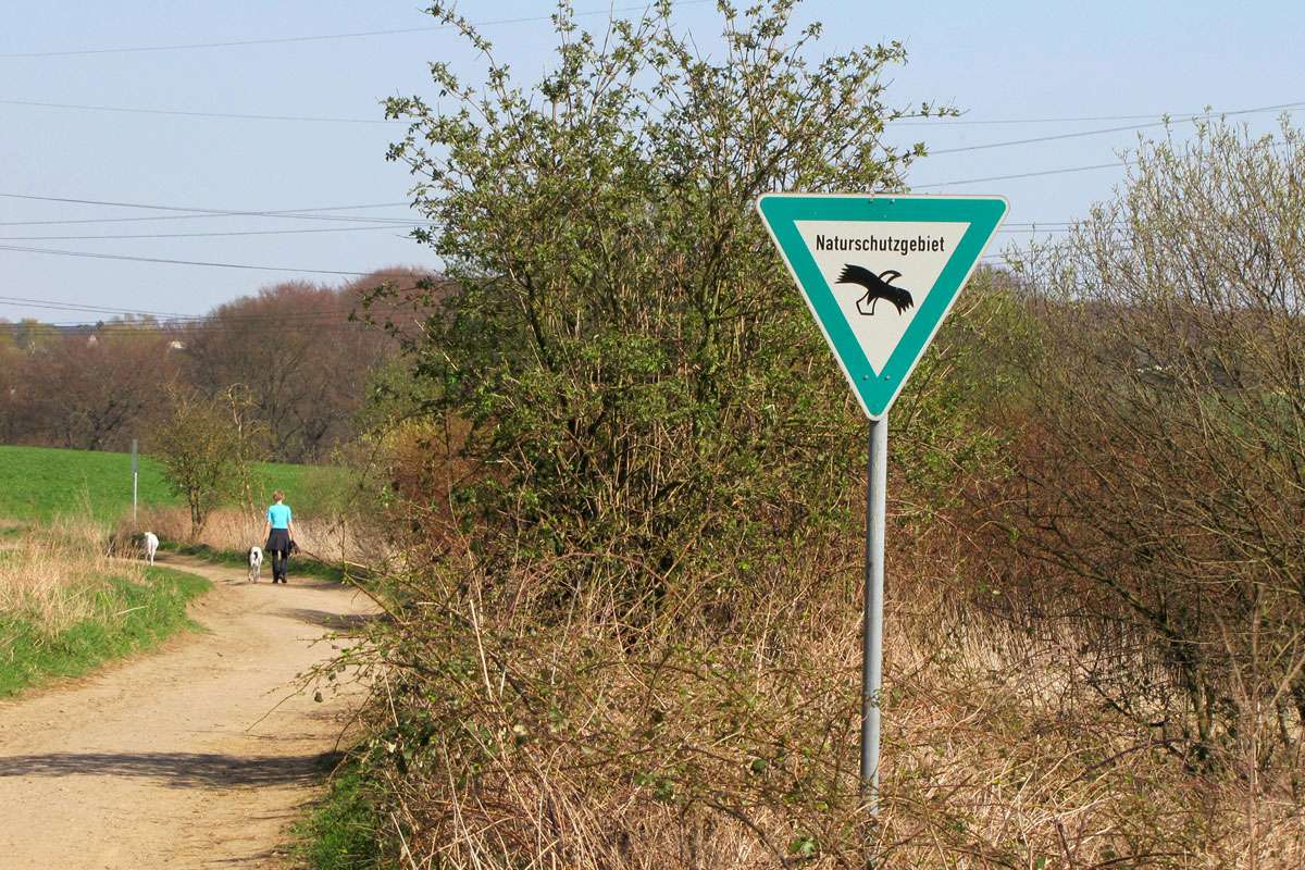 Spaziergang in einem Naturschutzgebiet, (c) Gaby Schulemann-Maier