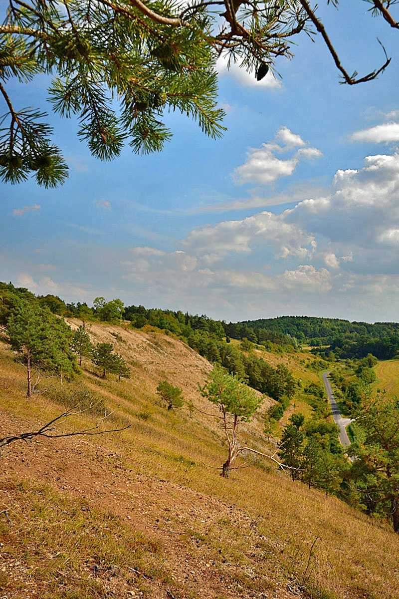 Trockenrasen bei Unsleben, (c) Hans Schwarting/NABU-naturgucker.de