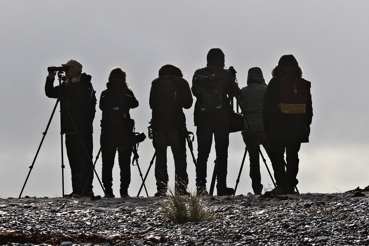Vogelbeobachter*innen, (c) Klaus Ewald/NABU-naturgucker.de