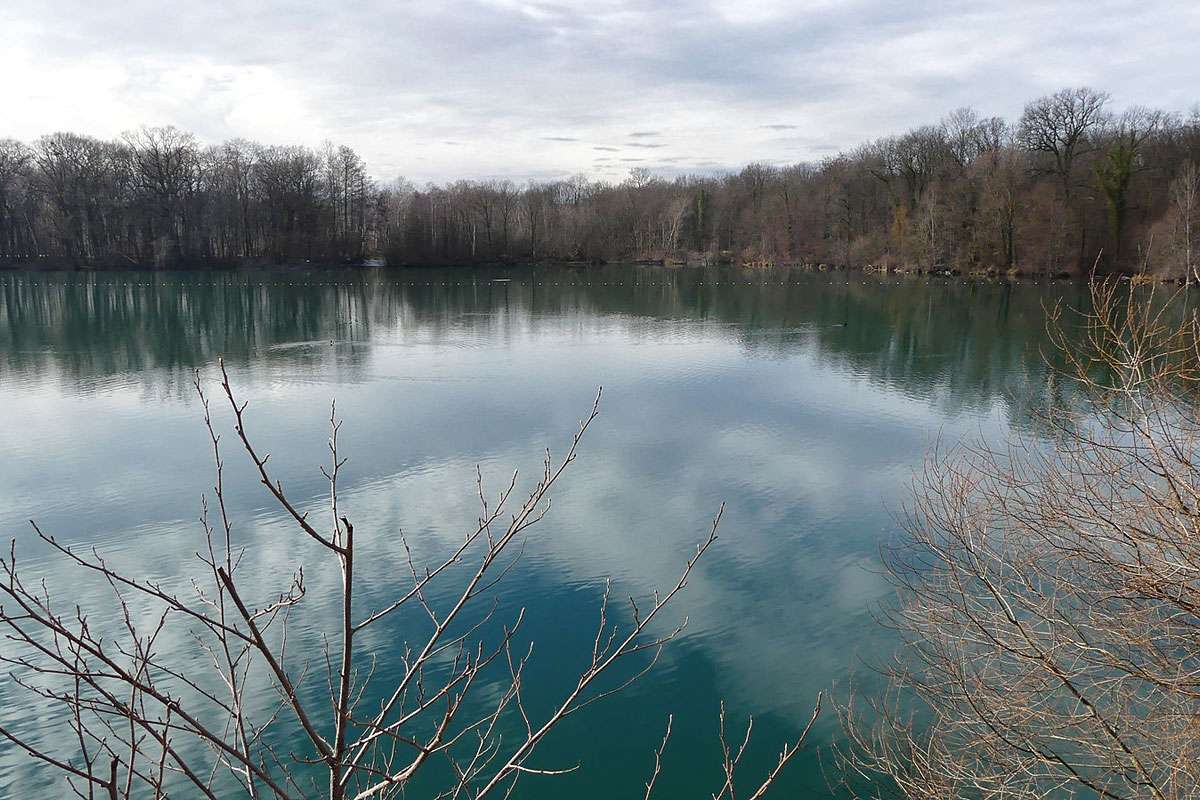Opfinger See im westlichen Teil Freiburgs, (c) Gudrun Treiber/NABU-naturgucker.de