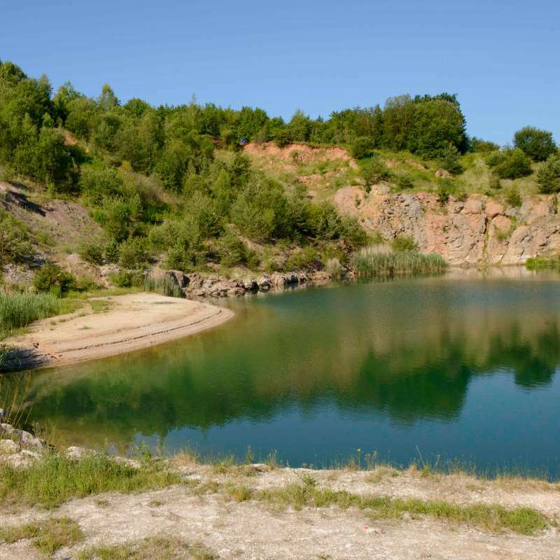 Öffnen Biodiversität in der Baustoffindustrie