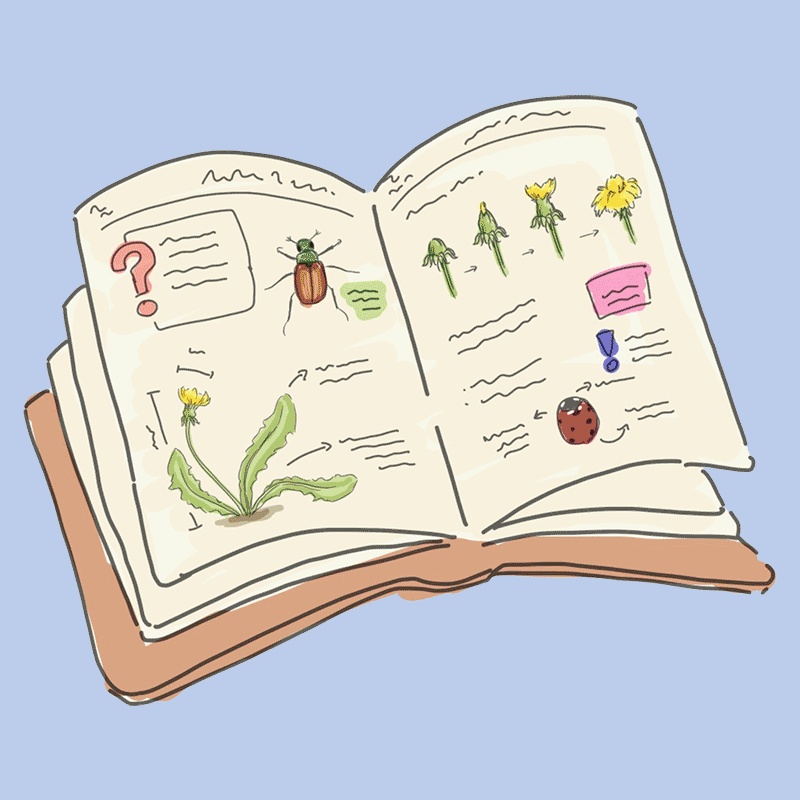 Öffnen 3. Das Nature Journal einzigartig machen