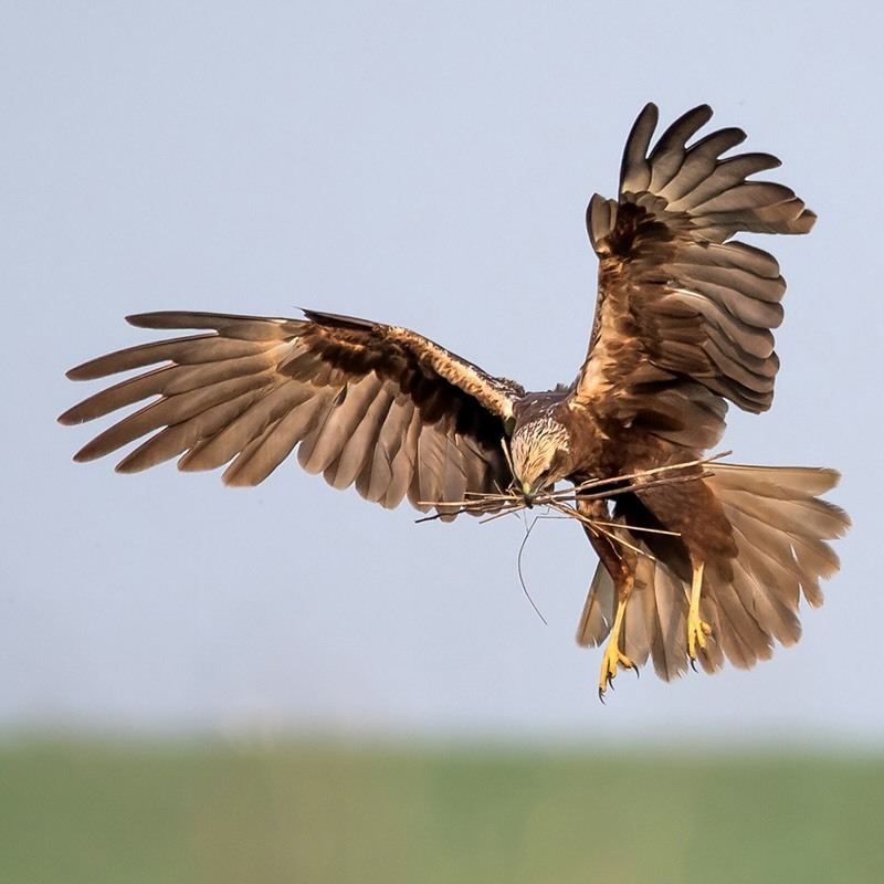 Öffnen 3. Bestimmungspraxis