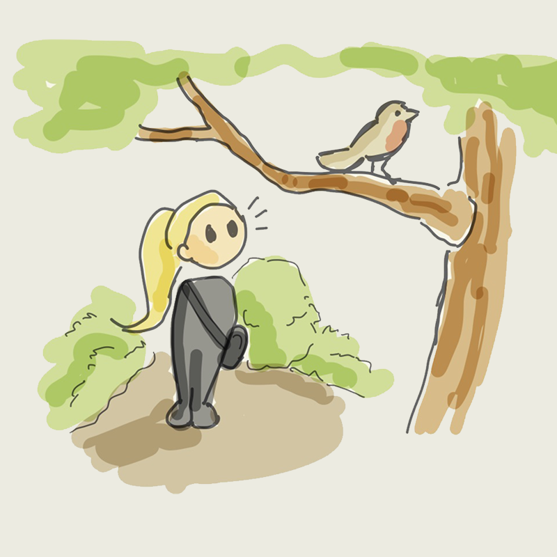 Öffnen 4. Nature Journaling als Wegbegleiter